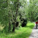 1107G 033 Bodensee Radweg